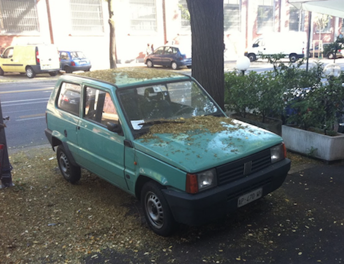 De Fiat Panda maakte van de auto een echt gebruiksvoorwerp. En die vertroetelen we niet te vaak, moet de eigenaar van dit exemplaar gedacht hebben.