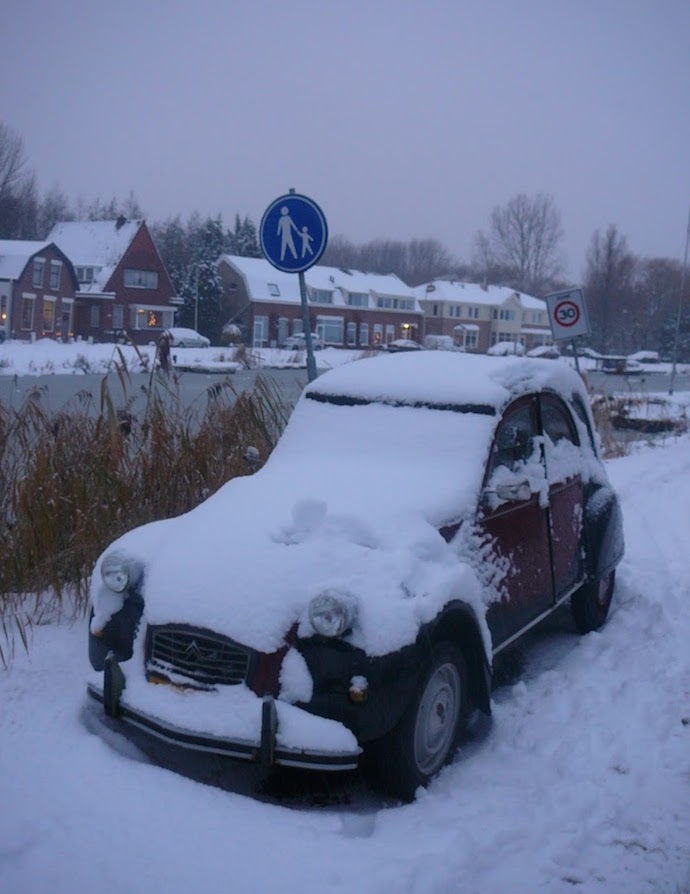 Brr… Ik heb het altijd zo te doen met de eendjes als er ijs is en sneeuw ligt.